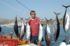 Daily Fishing Tour Photo Gallery - Ortakent Tourism 0