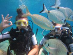 Daily Diving Tour Bodrum - 2