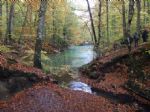 04-07 Bolu Abant Amasra Devrek Turu 20