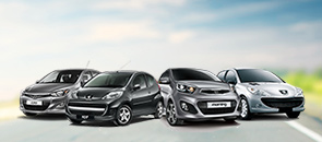 Bodrum Rent A Car Services