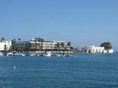 Tıcket For Turgutreis To Kos By Catamaran Photo Gallery - Ortakent Tourism 2