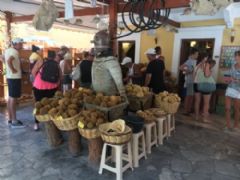 Bodrum Simi Katamaran Bilet Satışı Fotoğraf Galerisi - Ortakent Turizm 1