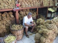 Turgutreis Kalymnos Feribot Bilet Satışı Fotoğraf Galerisi - Ortakent Turizm 4