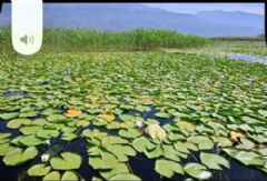  Photo Gallery - Ortakent Tourism 0