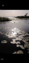  Photo Gallery - Ortakent Tourism 1