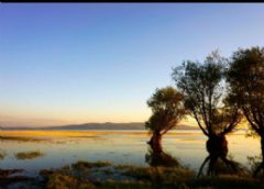  Photo Gallery - Ortakent Tourism 2