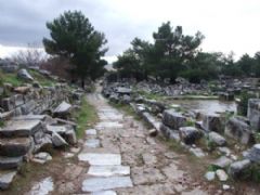 Özel Didim Milet  Prienne Turu Fotoğraf Galerisi - Ortakent Turizm 2