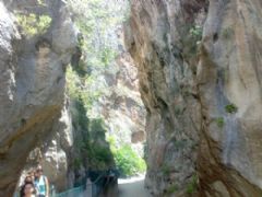 Okul Turu Fethiye Ölüdeniz Saklıkent Gezisi Fotoğraf Galerisi - Ortakent Turizm 1