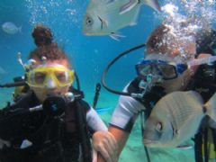 Daily Diving Tour Bodrum Photo Gallery - Ortakent Tourism 1