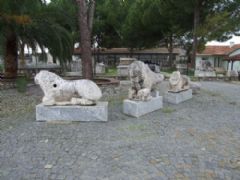 Milet Didim Priene Turu Fotoğraf Galerisi - Ortakent Turizm 1