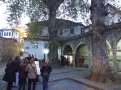 Bodrum Milas  Çıkışlı Bolu Amasra  Safranbolu Turu Fotoğraf Galerisi - Ortakent Turizm 4