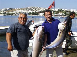 Özel Balık Avı Turu - 2